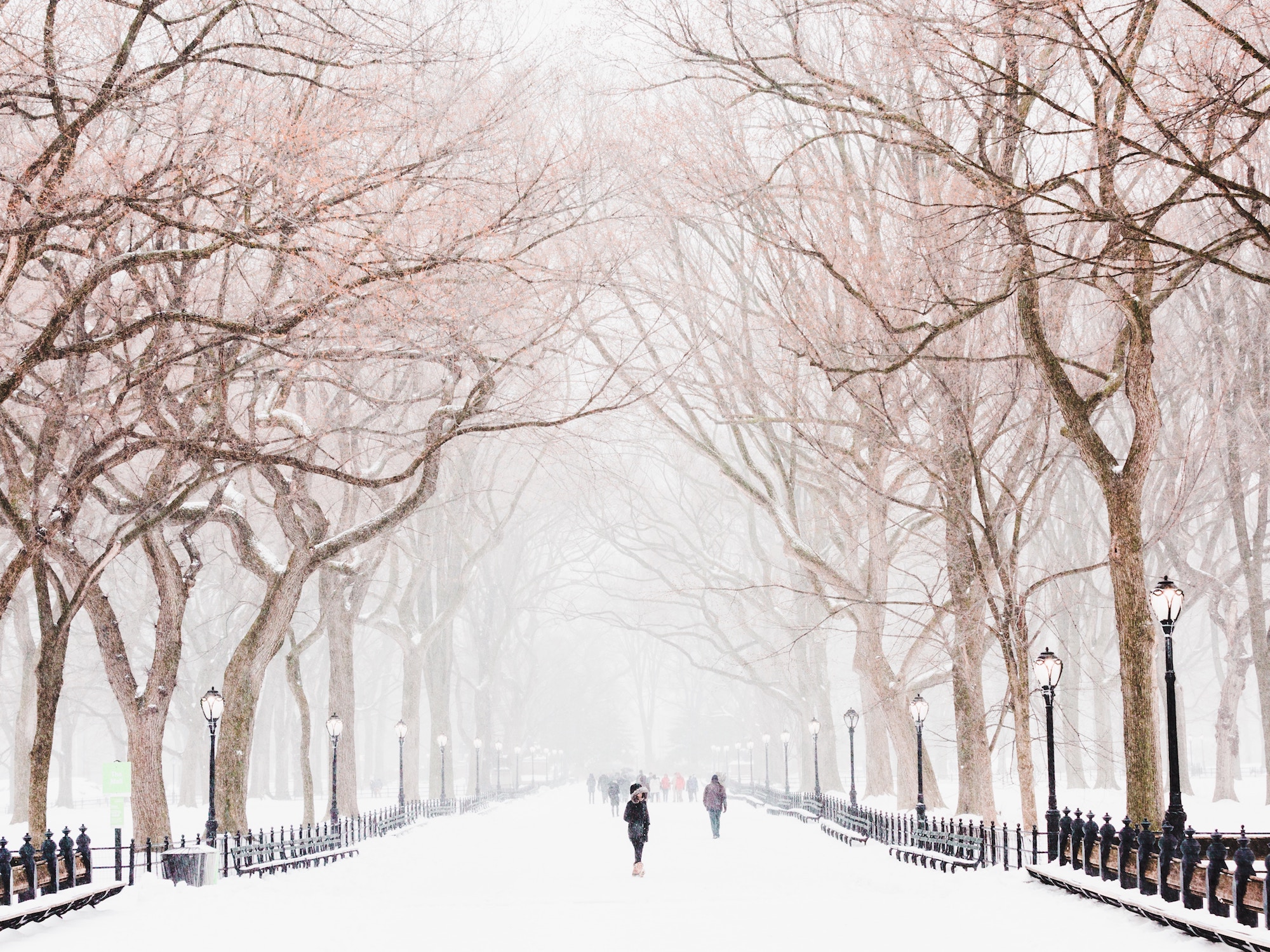 winter storm illustration