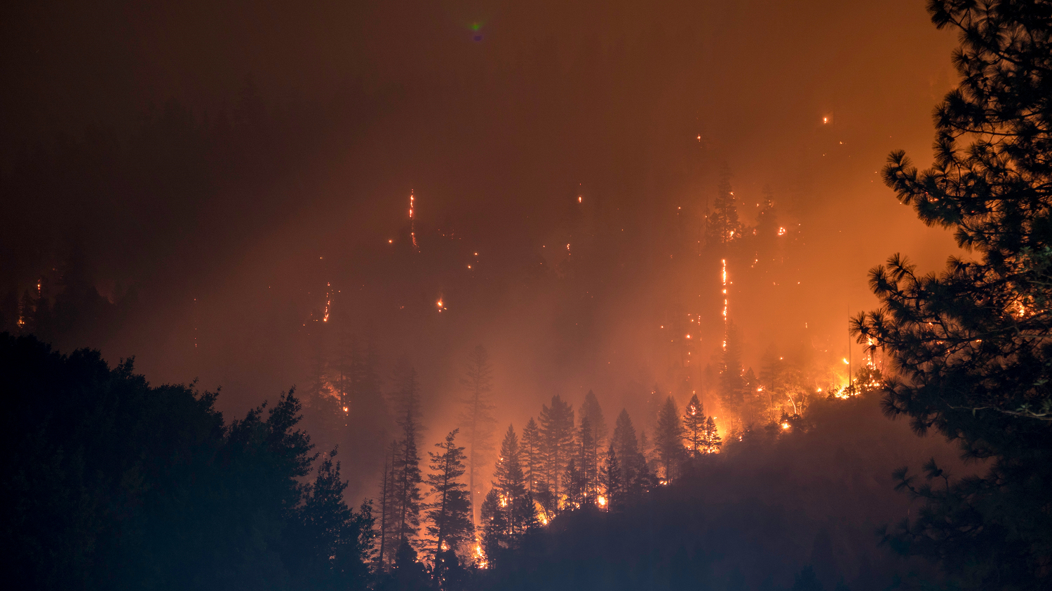 wildfires