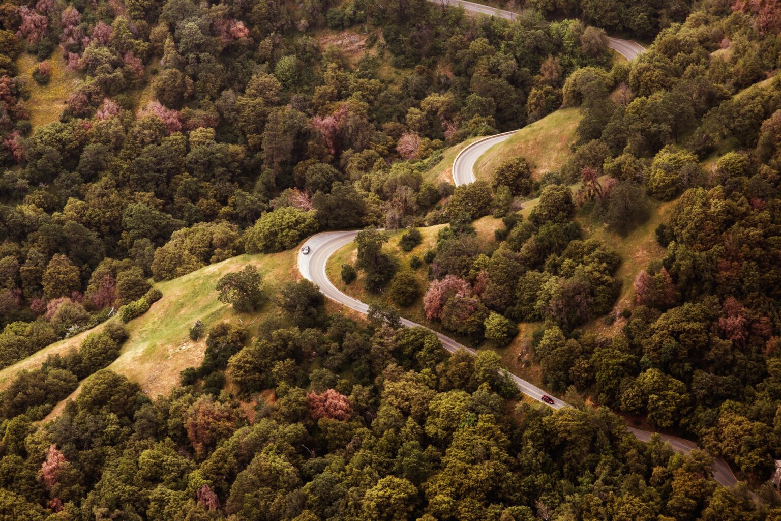 landscape with country road