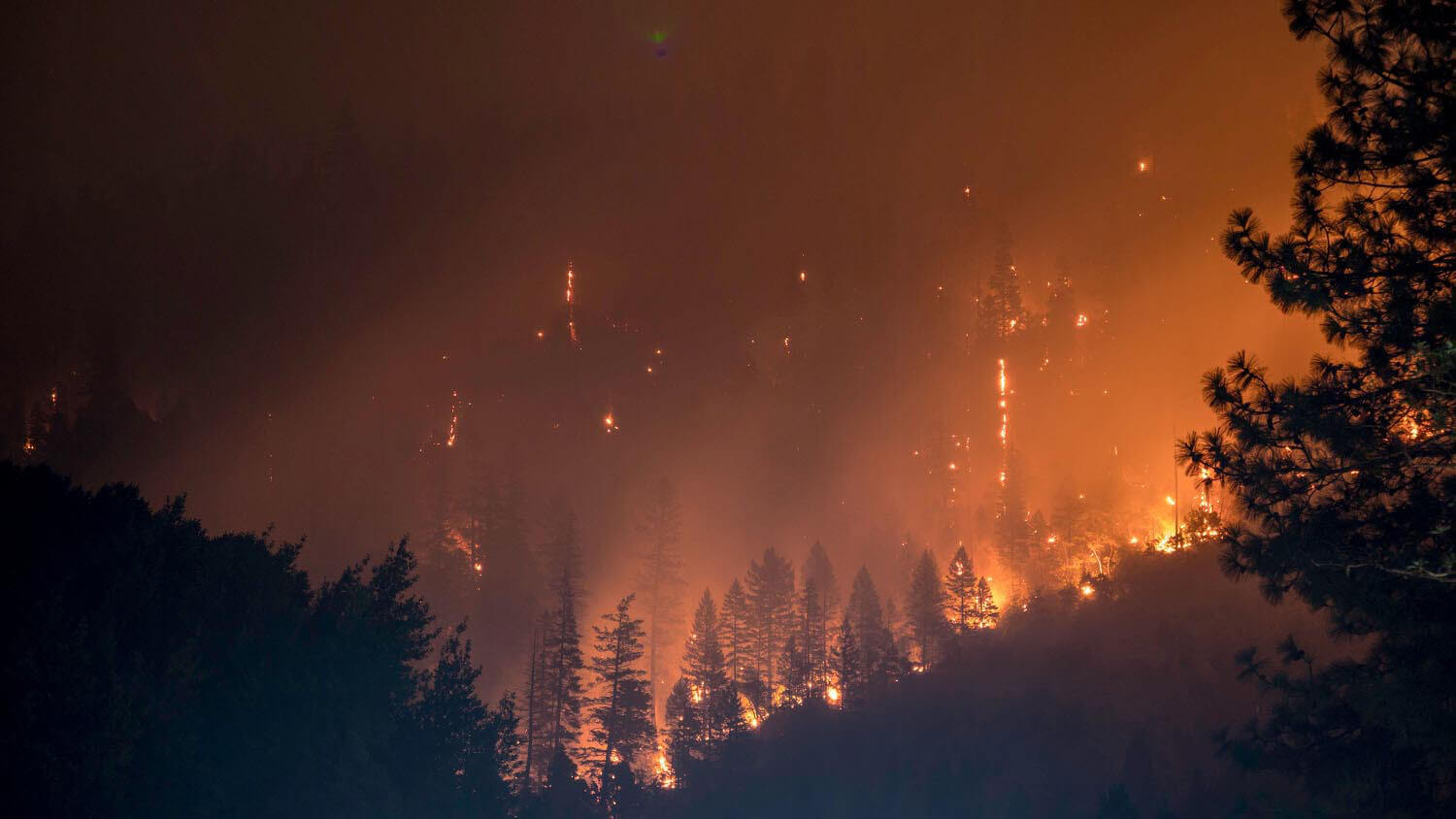 wildfires