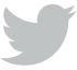 Bird icon to share on Twitter.